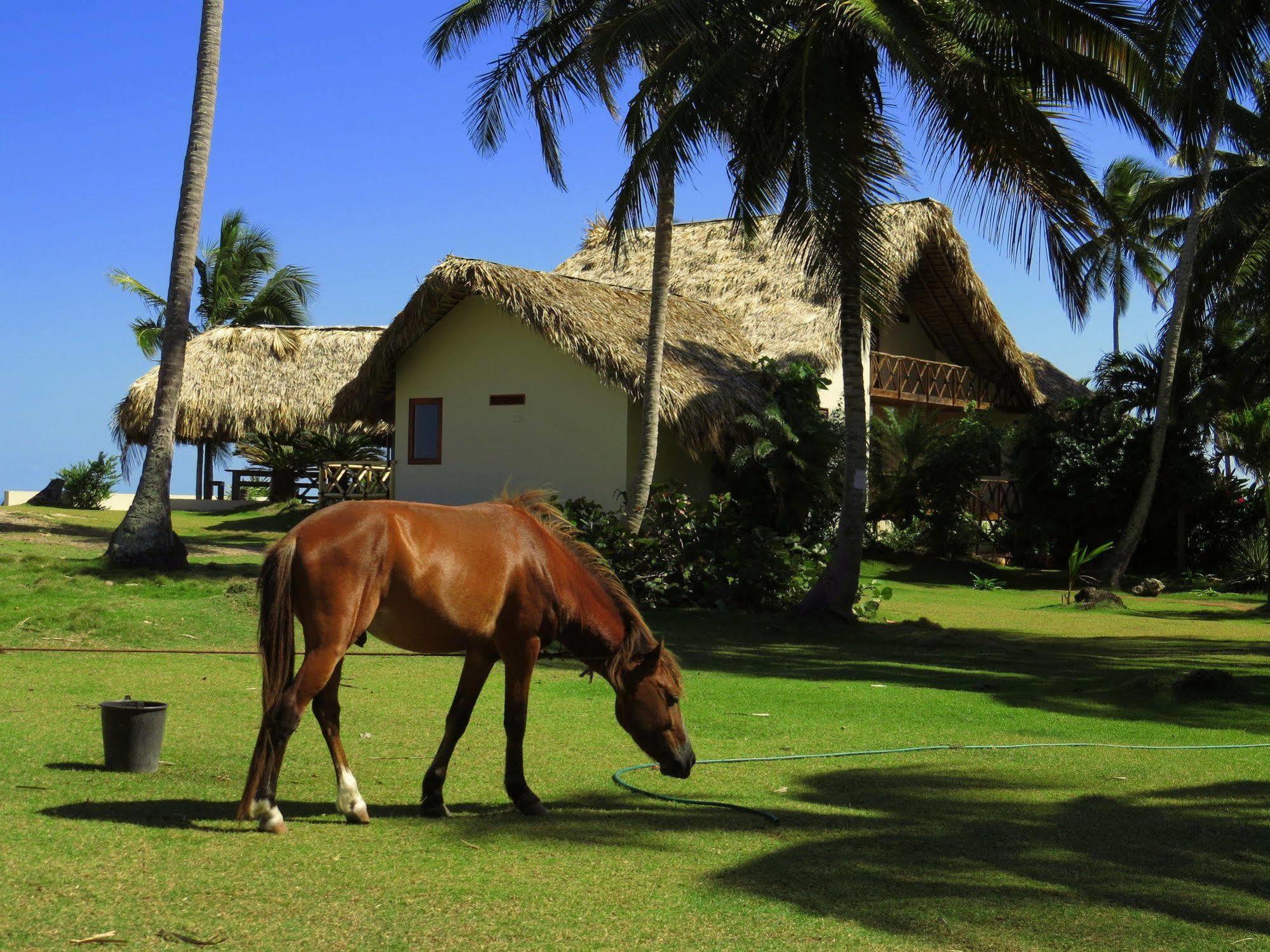 Villa Punta Coral El Francés Exteriör bild